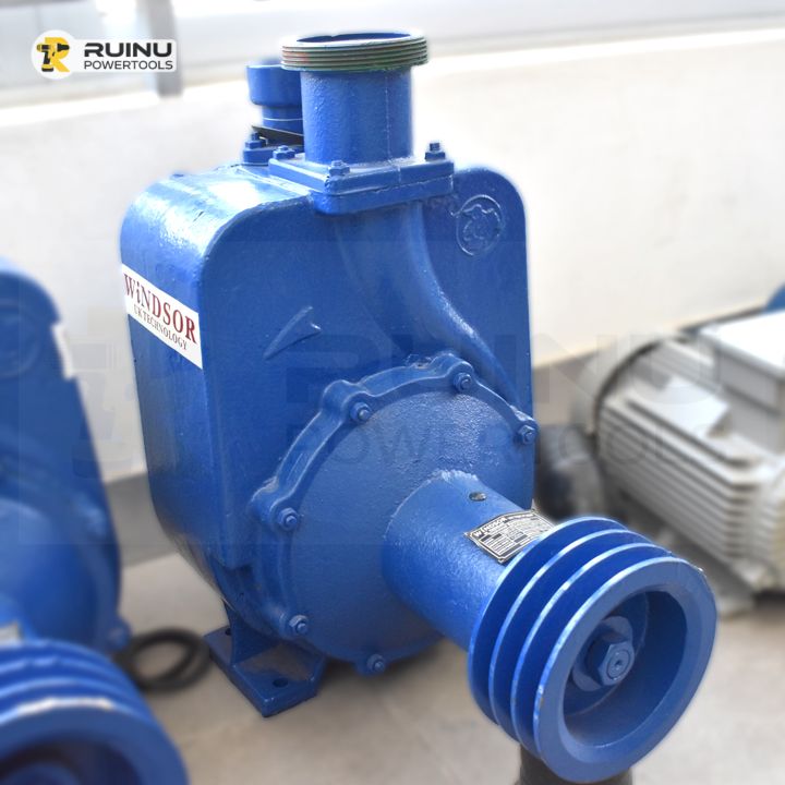 Windsor Self-Priming Pulley Pump, Pumps & Water Systems