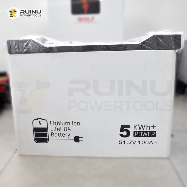 5kWh LiFePO4 Battery 51.2V 100Ah